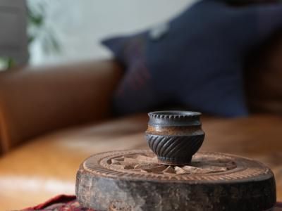 商品検索 - bio plants（ビオプランツ）