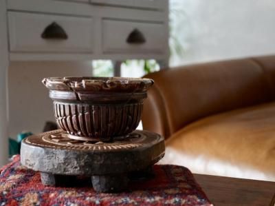 保田修作 - bio plants（ビオプランツ）