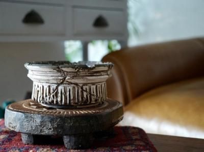 保田修作 - bio plants（ビオプランツ）