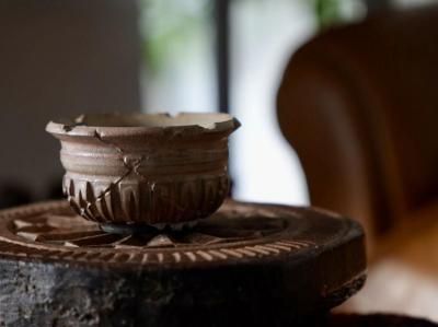 保田修作 - bio plants（ビオプランツ）