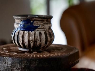 保田修作 - bio plants（ビオプランツ）