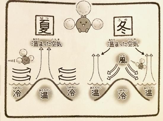 サイン本 ポケモン空想科学読本 空想科学研究所の売店 サイン本 ポケモン空想科学読本 空想科学研究所の売店