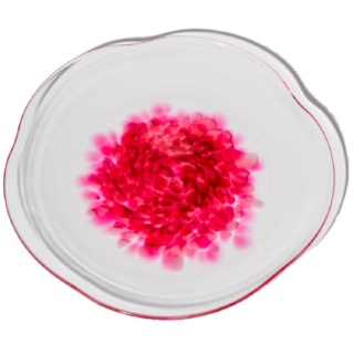 琉球桜皿