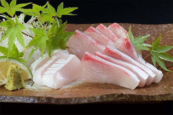 長崎県五島産養殖ヒラマサロイン 五島産ブリ ヒラマサ マグロ通販 橋口水産ネットショップ