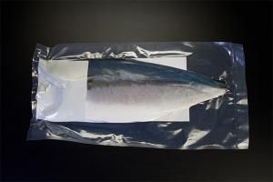 ヒラマサ 養殖ブリ ヒラマサ通信販売 長崎 五島 橋口水産ネットショップ