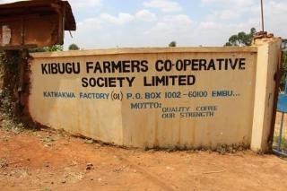 <img class='new_mark_img1' src='https://img.shop-pro.jp/img/new/icons15.gif' style='border:none;display:inline;margin:0px;padding:0px;width:auto;' />Ź˵פоΡַ֥פΥ˥ƦǤۥ˥ ַ եȥ꡼ AA 200gҥե/