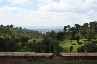 <img class='new_mark_img1' src='https://img.shop-pro.jp/img/new/icons15.gif' style='border:none;display:inline;margin:0px;padding:0px;width:auto;' />褷ڥʥƦۤɸ2,400mΰʤǤեԥ ϶ ٥ǥåơڥʥ/缰200gҥƥ/濼