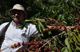 <img class='new_mark_img1' src='https://img.shop-pro.jp/img/new/icons15.gif' style='border:none;display:inline;margin:0px;padding:0px;width:auto;' />ڥƥޥबؤޤۥƥޥ ƥ϶ 󥿥꡼ڥ֥ܥ100% 200gҥե/