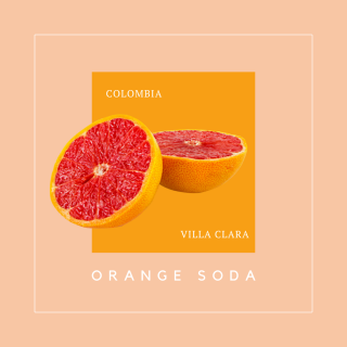 <img class='new_mark_img1' src='https://img.shop-pro.jp/img/new/icons63.gif' style='border:none;display:inline;margin:0px;padding:0px;width:auto;' /≯<br>Villa Clara Orange Soda<br>()<br> 100g