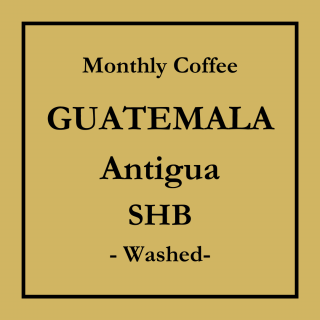 【定期購入<5%OFF>】<br>10月のおすすめコーヒー<br>GUATEMALA Antigua SHB-Washed-<br>(中深煎り)<br>200g