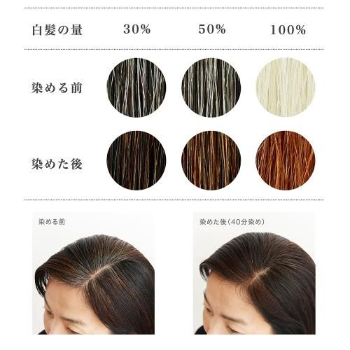 無添加ヘナ 植物100% 傷まない白髪染め ナイアードヘナ+木藍 黒茶 ナイアード ヘナ+木藍 黒茶系 ( 100g ) ヘナ 洗髪剤 カラー剤