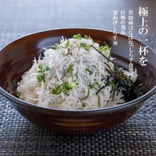 しらすギフトセット - 佐田岬の鬼