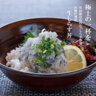 <img class='new_mark_img1' src='https://img.shop-pro.jp/img/new/icons25.gif' style='border:none;display:inline;margin:0px;padding:0px;width:auto;' />餹Чå