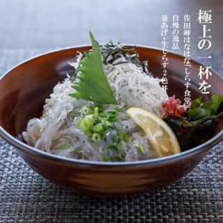 <img class='new_mark_img1' src='https://img.shop-pro.jp/img/new/icons25.gif' style='border:none;display:inline;margin:0px;padding:0px;width:auto;' />餹å