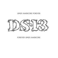 DS-13 