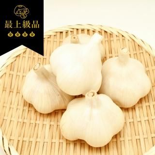金太にんにく - 金太にんにくオンラインショップ 金太にんにく - 金太にんにくオンラインショップ