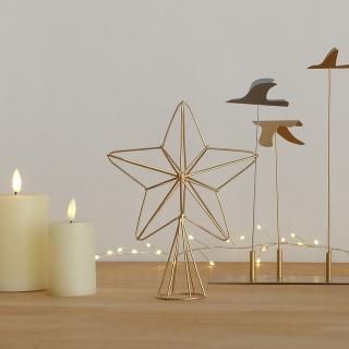 <img class='new_mark_img1' src='https://img.shop-pro.jp/img/new/icons14.gif' style='border:none;display:inline;margin:0px;padding:0px;width:auto;' />Wire Tree Topper<br>Star