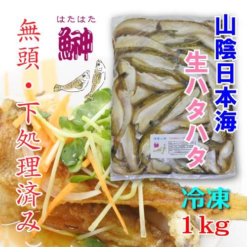 âϤ狼
