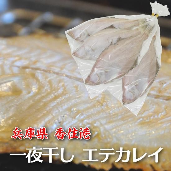 봳ƥ쥤