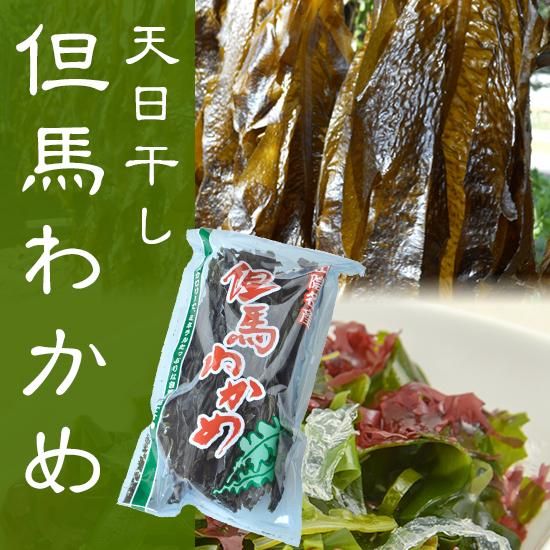 âϤ狼