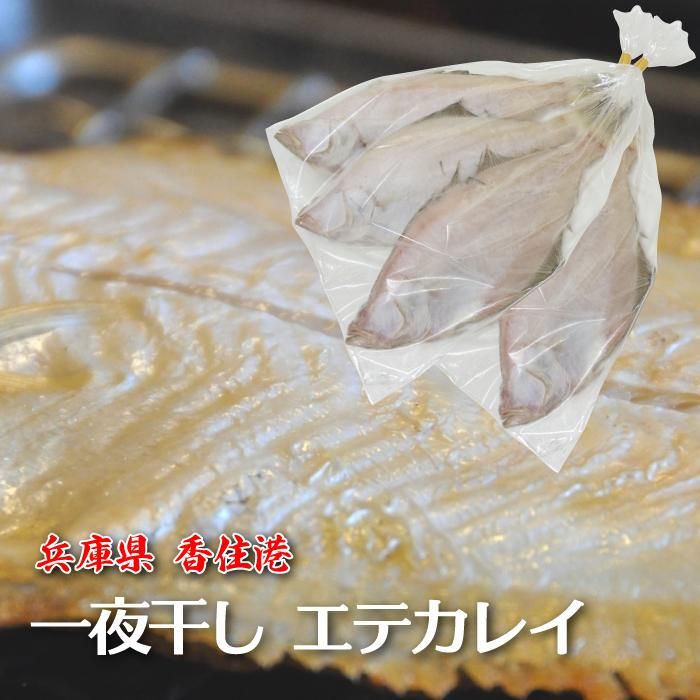 봳ƥ쥤