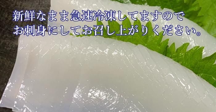 ɿ