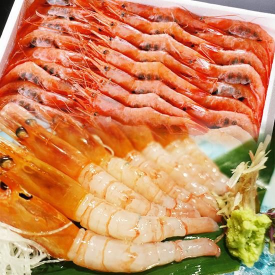 船内冷凍 甘えび 中 500g 但馬産 お刺身に 産地直送