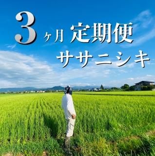 天然農法/十四代中川吉右衛門 亀の尾三分付き5kg/精米日:令和7年