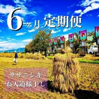 大豆 - 天然農法・自然栽培 十四代中川吉右衛門 SHOP