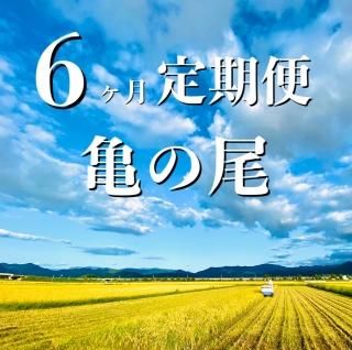 新米】令和6年産 自然栽培 中川吉右衛門ササニシキ 6ヶ月定期便