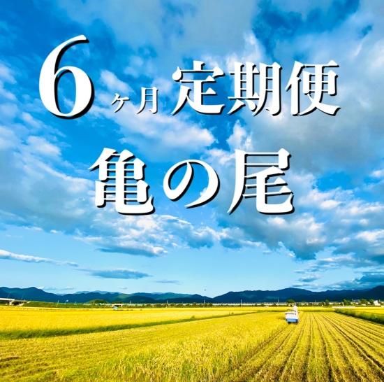 天然農法・自然栽培 十四代中川吉右衛門 SHOP