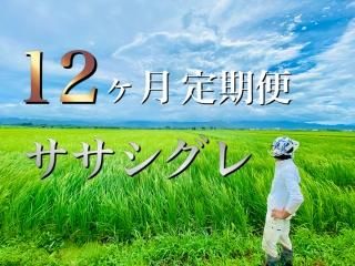 ササシグレ - 天然農法・自然栽培 十四代中川吉右衛門 SHOP ササシグレ - 天然農法・自然栽培 十四代中川吉右衛門 SHOP