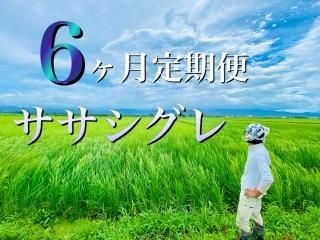 <img class='new_mark_img1' src='https://img.shop-pro.jp/img/new/icons14.gif' style='border:none;display:inline;margin:0px;padding:0px;width:auto;' />★予約再開★ 令和６年産 自然栽培ササシグレ 6ヶ月定期便♪奇数月（11・1・3・5・7・9月配送）