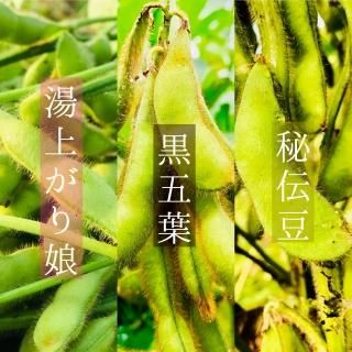 <img class='new_mark_img1' src='https://img.shop-pro.jp/img/new/icons25.gif' style='border:none;display:inline;margin:0px;padding:0px;width:auto;' />【 枝豆フルコース！】 自然栽培 枝豆 時期別３種フルコースセット