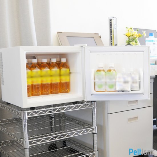 生活家電 冷蔵庫 17リットル型小型冷蔵庫 ミニ冷蔵庫 Peltism Proシリーズ