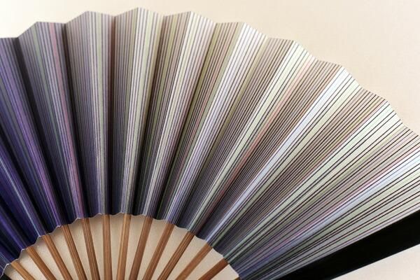 産学公プロジェクト作品【美大生 ×江戸扇子職人 松井宏】【セミ