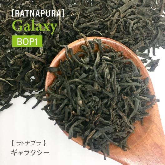 セイロンキシタアゲハ♂標本★スリランカ★ 106mm入手困難エリア鮮度抜群 セイロンキシタアゲハ♂ 標本 106mm☆スリランカ産☆欠損有入手