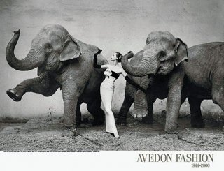 Richard Avedon: Dovima with Elephants, Evening Dress by Dior, Paris, August 1955 ポスター