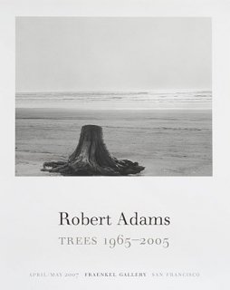 Robert Adams: Trees 1965-2005 ݥ