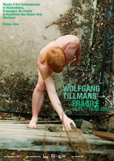 Wolfgang Tillmans: FRAGILE / Dan ポスター