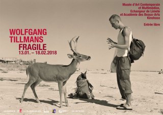 Wolfgang Tillmans: FRAGILE / Deer Hirsch ݥ