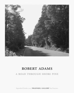 Robert Adams:  A Road Through ポスター