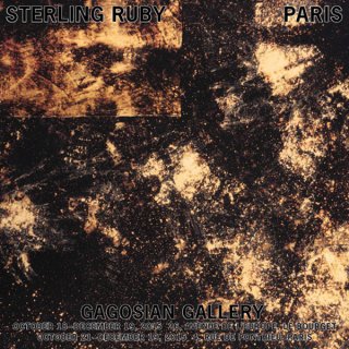 Sterling Ruby: PARIS ݥ                          