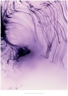 Wolfgang Tillmans|ヴォルフガング・ティルマンス - BALLOON Wolfgang Tillmans|ヴォルフガング・ティルマンス - BALLOON