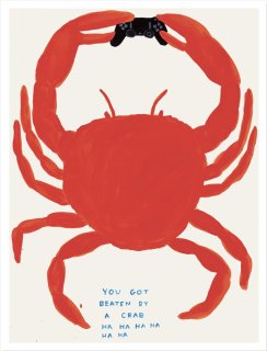 David Shrigley: You Got Beaten By A Crab&#65279; ポスター