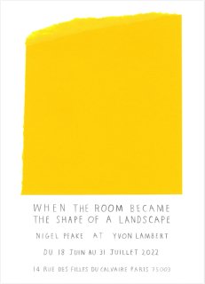 Nigel Peake: When the room became the shape of a landscape ݥ