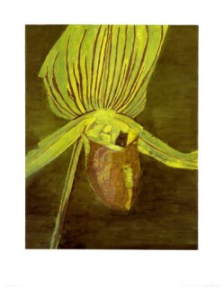 Luc Tuymans: Orchid, c.1998 ポスター