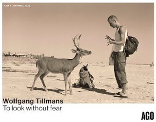 Wolfgang Tillmans: Deer Hirsch ݥ