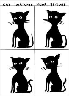 David Shrigley: Cat Watches Your Seizure ݥ                    