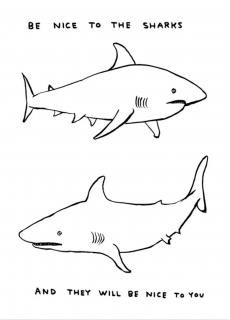 David Shrigley: Be Nice To The Sharks ݥ                    